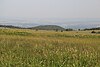 Blick von der Langen Rhön zum Gangolfsberg