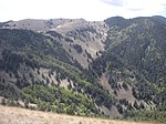 Partially forested mountains in Lincoln National Forest.