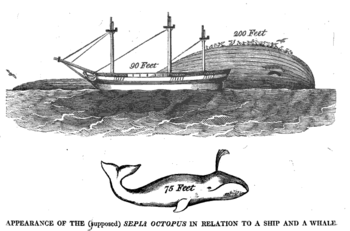 200 foot octopus allegedly seen in 1813