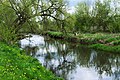 Supraśl przepływająca przez Park Krajobrazowy Puszczy Knyszyńskiej