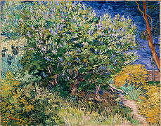 Lilas du jardin de l'hôpital, mai 1889, Saint-Pétersbourg, musée de l'Ermitage.