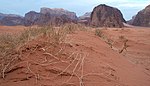 ワーディー・ラム砂漠