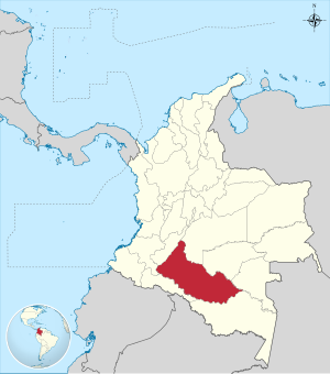 Situasión de Caquetá