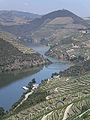 The river near Régua, Portugal