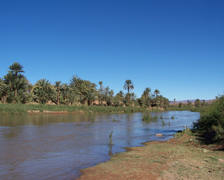 Oasis no val do Draa