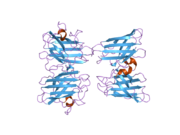 2gbu: C6A/C111A/C57A/C146A apo CuZn Superoxide dismutase