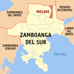 Map of Zamboanga del Sur with Molave highlighted