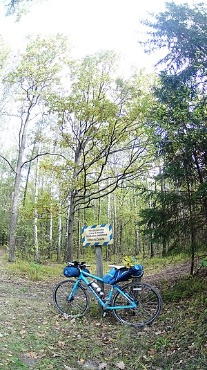 Заказник Пікельський, на роздоріжжі