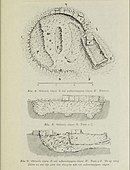 Archaeological drawing of a tomb.