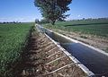 Irrigation of field crops