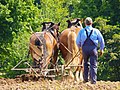 Vorschaubild der Version vom 07:42, 30. Sep. 2014