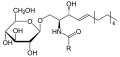 22:35, 23 Մայիսի 2007 տարբերակի մանրապատկերը