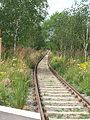 Bahnhof Oelsnitz (Erzgeb), renaturiertes Bahnhofsgelände zur Landesgartenschau 2015