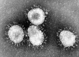 SARS-coronavirus