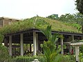 新加坡首个“绿色屋顶”