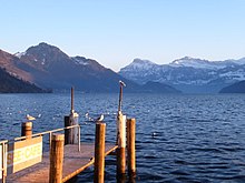 Lake Lucerne Weggis.jpg