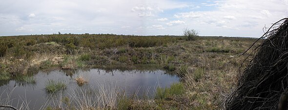 Reserva Naturala dau Pinalh.