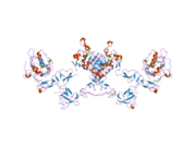 2ahx: Crystal structure of ErbB4/HER4 extracellular domain