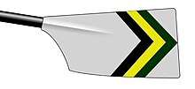 a rowing blade with green, gold and black chevrons on a white background