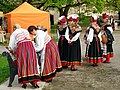 Image 18Estonian folk music performers dressed in 19th-century festive folk costumes (from Culture of Estonia)