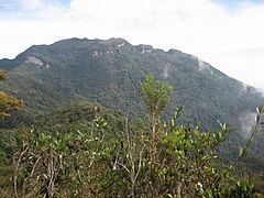 Gunung Tahan, gunung tertinggi Semenanjung Malaysia.