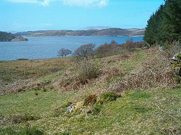 Eilean Mhic Chrion from near Ormaig