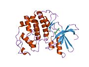 1pxj: HUMAN CYCLIN DEPENDENT KINASE 2 COMPLEXED WITH THE INHIBITOR 4-(2,4-Dimethyl-thiazol-5-yl)-pyrimidin-2-ylamine