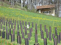 Barrage antichars suisse fait de rails, battu ici par un fortin d'infanterie camouflé en maison.