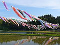 ため池に渡されたこいのぼり （橘堰：千葉県香取市）