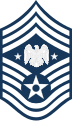 Special rank for the Air Force