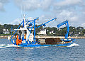 Plate ostréicole à la Trinité sur Mer