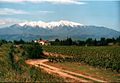 Der Canigou von Perpignan aus gesehen