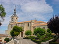 Collegiate church of San Pedro.