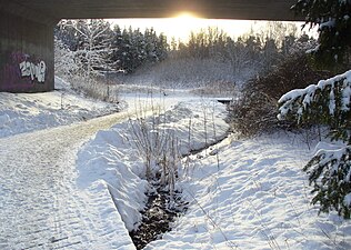 Rudboda i vinterskrud.