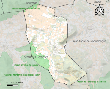 Carte des ZNIEFF de type 1 sur la commune.