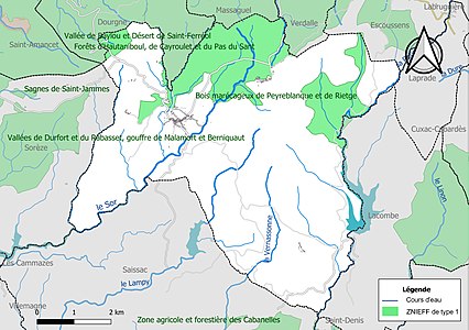 Carte des ZNIEFF de type 1 sur la commune.