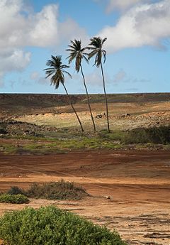 Boa Vista, Cape Verde