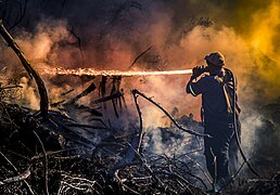 Un pompier à la lutte contre un incendie de forêt vers Aston Bay en Afrique du Sud. Mars 2017.
