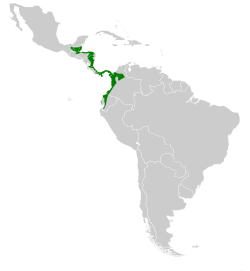 Distribución geográfica del colibrí hada occidental.