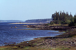 Kiantajärveä Pesiönlahdesta Niskanselälle päin noin vuonna 1975. Matalan veden aikana Oulujoki Oy poisti kantoja rannalta.