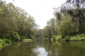 Lane Cove River