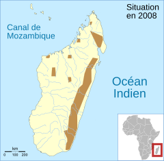 Distribución de la población de M. betsileanus.