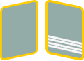 NSFK Gorget patches