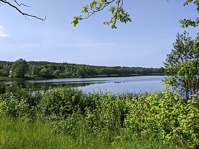 Mnišský rybník (étang des Moines).