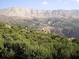 Qadisha-vallei en het Bos van de ceders van God