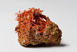 Crocoite from the Dundas extended mine, Dundas, Tasmania, Australia