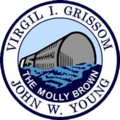 Gemini 3 insignia