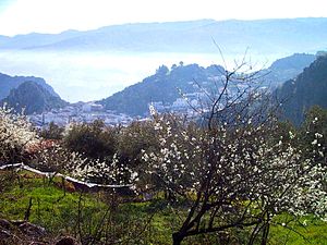 Montejaque über dem Morgennebel