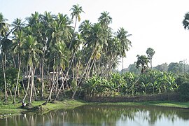 Raghurajpur, dans le district de Puri, est un célèbre village d'artisans et de danseurs.