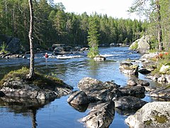 Vue de la rivière Kamennaïa dans le parc national.